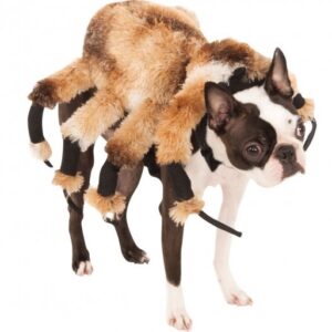 Edderkop Hundekostume