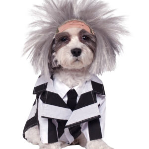 BeetlejuiceÂ® Hundekostume