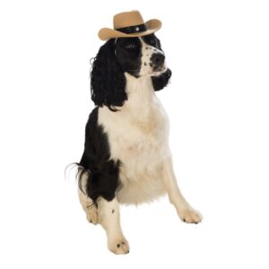 Cowboy Hat Hundekostume
