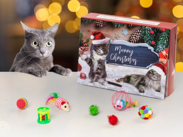 Julekalender med Kattelegetøj